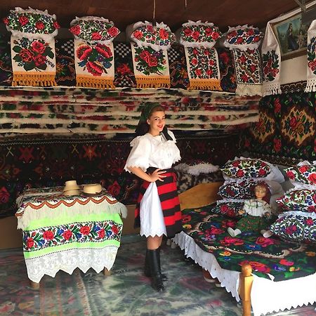 Pensiunea Maramures Окна-Шугатаг Екстер'єр фото