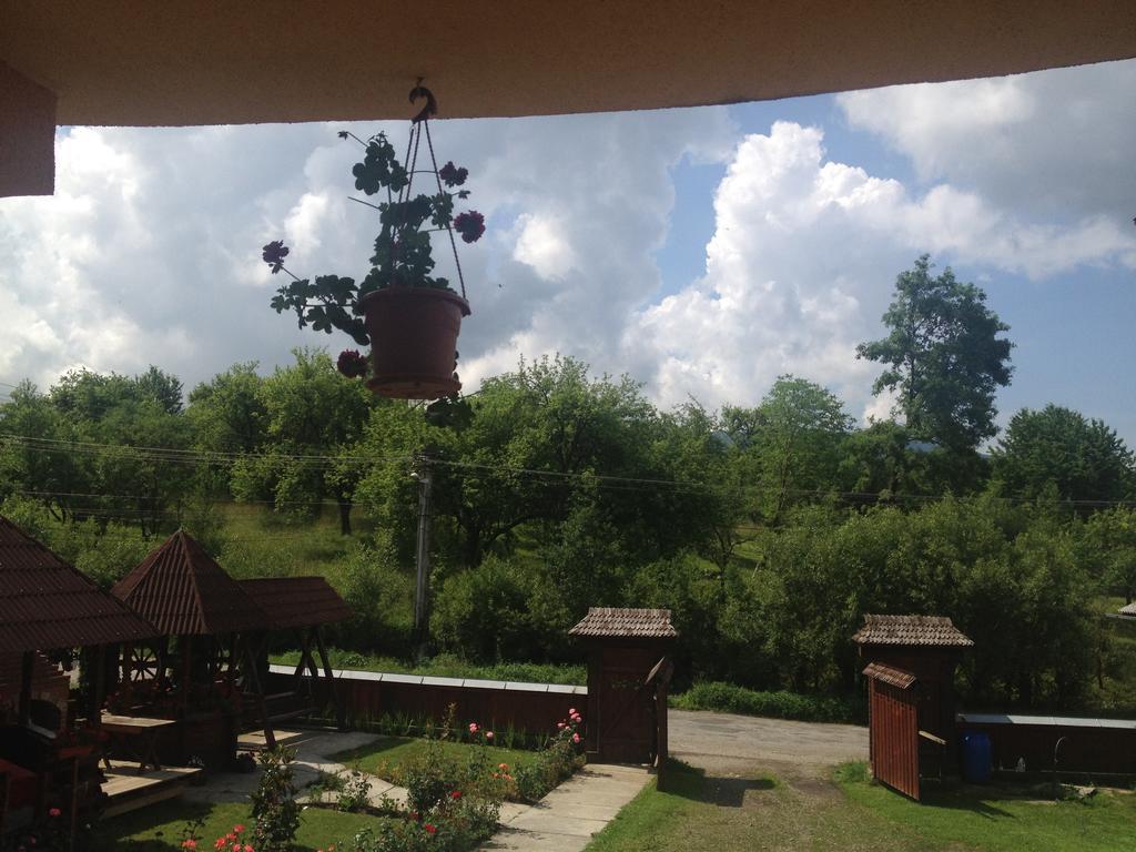 Pensiunea Maramures Окна-Шугатаг Екстер'єр фото