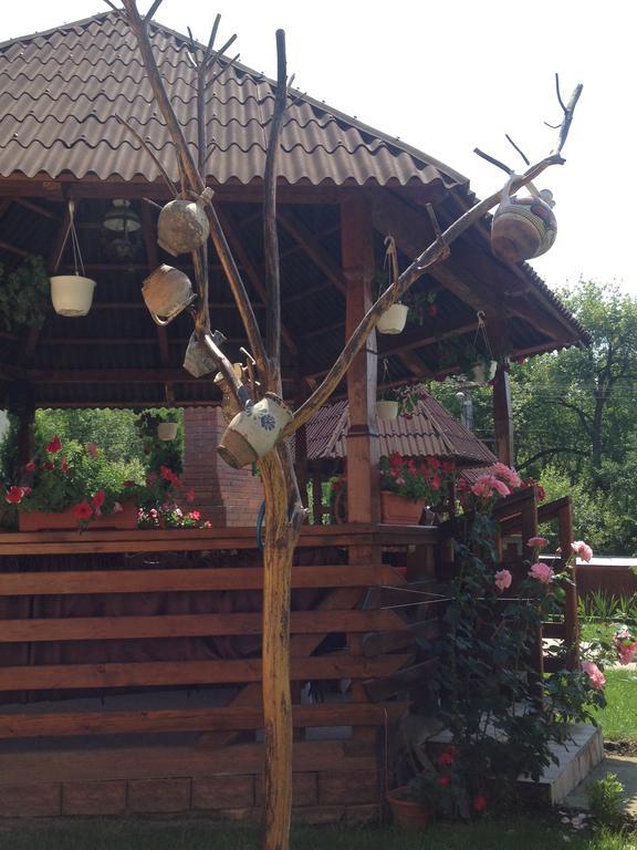 Pensiunea Maramures Окна-Шугатаг Екстер'єр фото