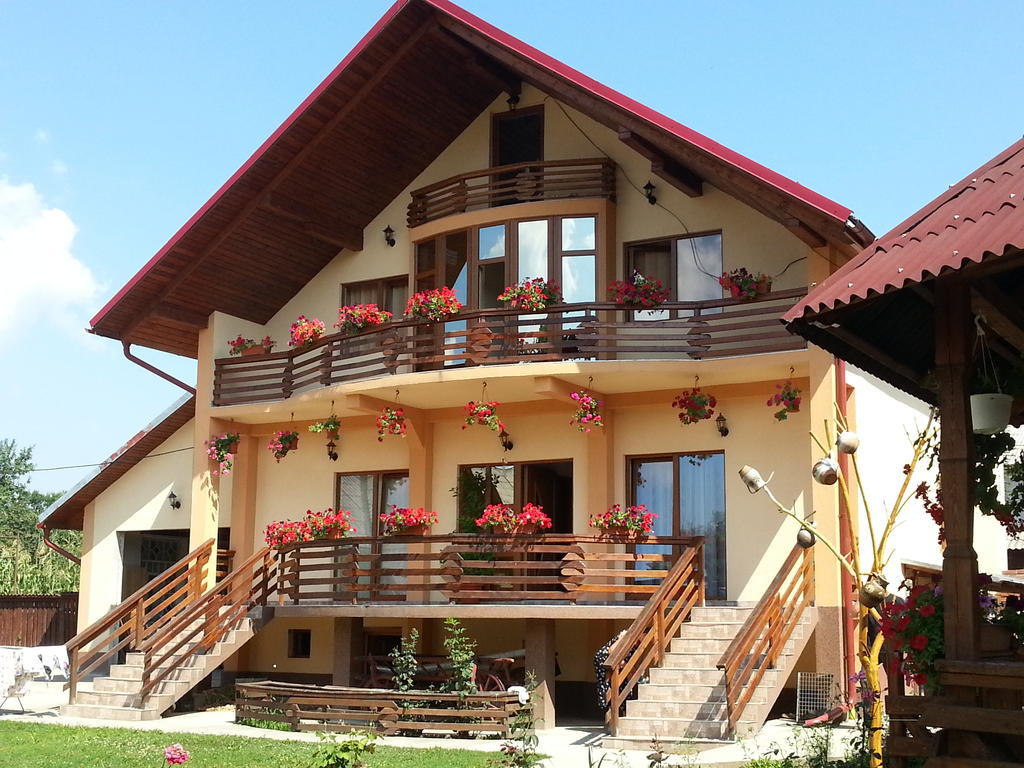 Pensiunea Maramures Окна-Шугатаг Екстер'єр фото