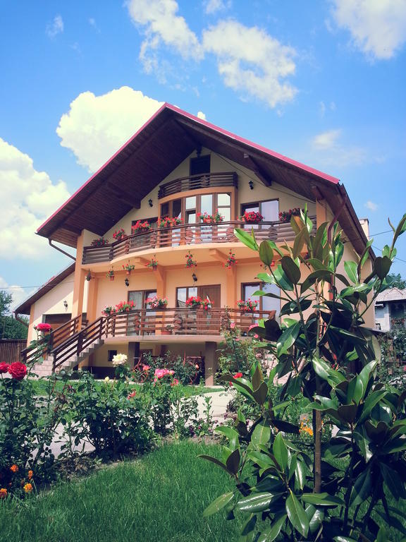 Pensiunea Maramures Окна-Шугатаг Екстер'єр фото