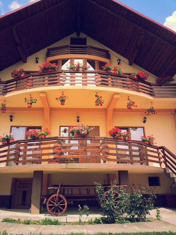 Pensiunea Maramures Окна-Шугатаг Екстер'єр фото