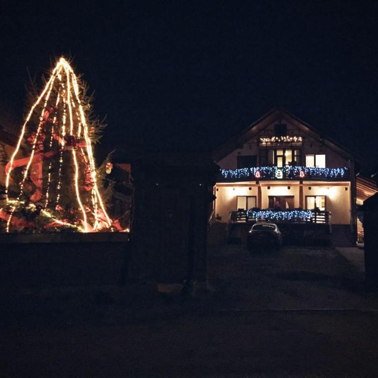 Pensiunea Maramures Окна-Шугатаг Екстер'єр фото